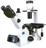 Kính hiển vi soi ngược XD-202